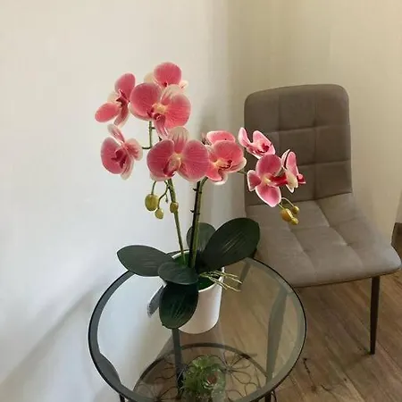 Apartment Metro Battistini - Vaticano - 120mq